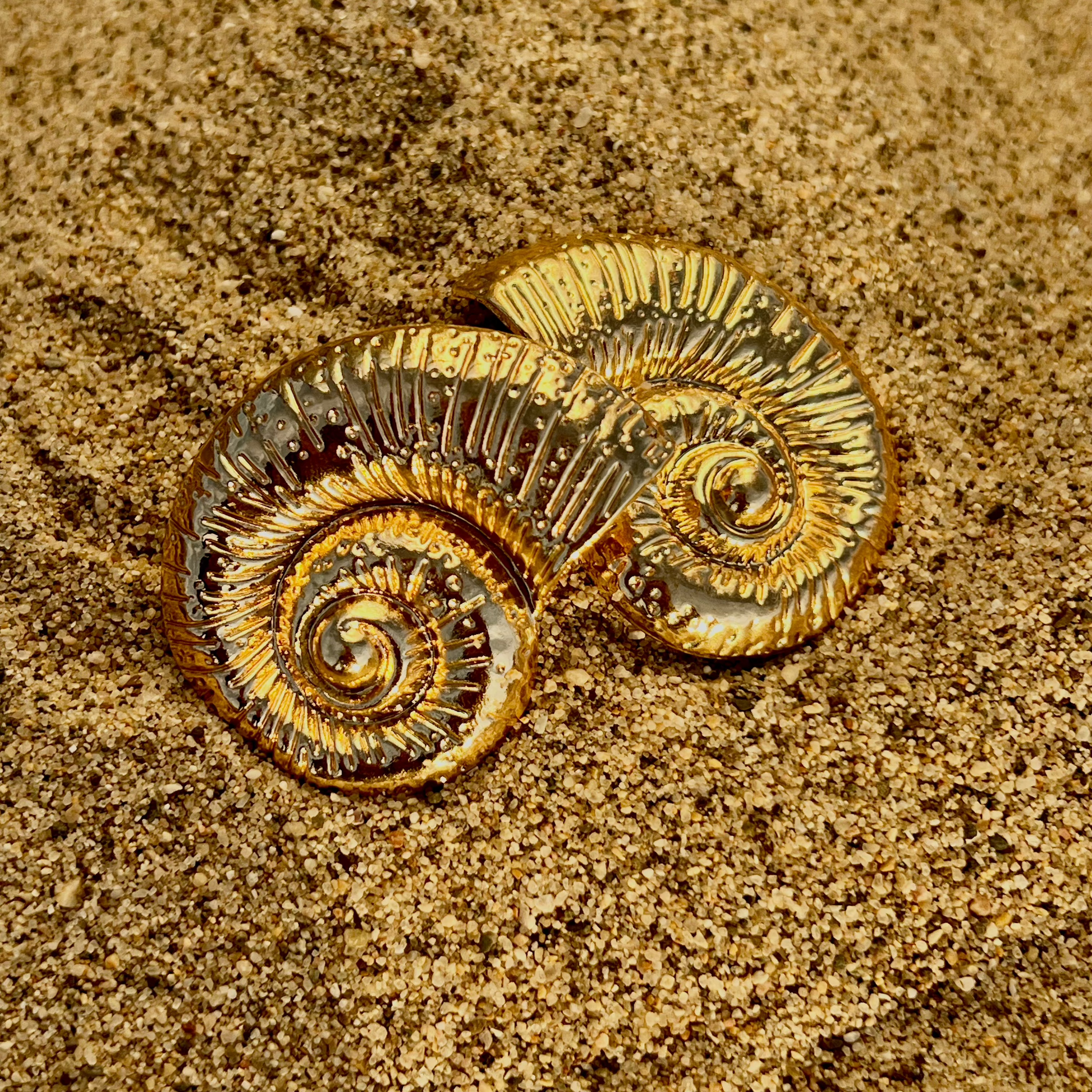 Vintage Conch Shell Earrings